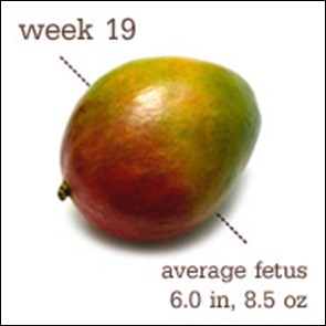 week19