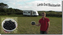 lands end blackberries Aug 2011
