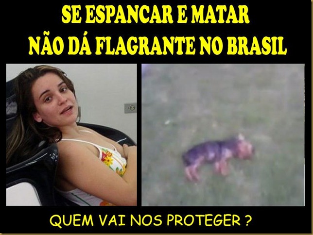 justica_animais justica_animais