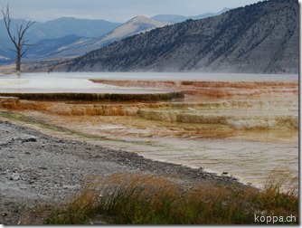 110825 NP Yellowstone (29)