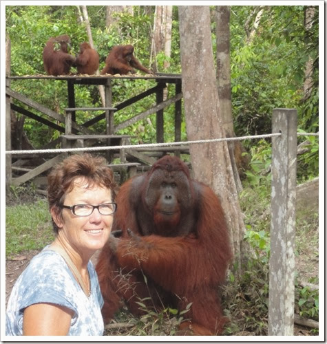 Me & Orangutan (619x640)