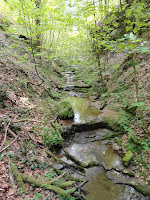 DSC03628.JPG Photo