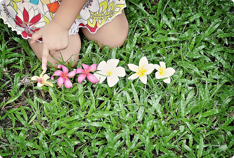Counting-flowers
