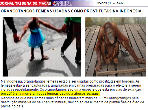 [orangotango-macau%255B3%255D.png]