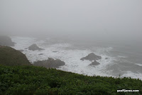 IMG_9334.JPG Photo