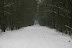  Winterhike: Fotos & Videos