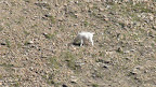 glacier_national_park_-_2009
