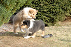 _DSC0052.JPG