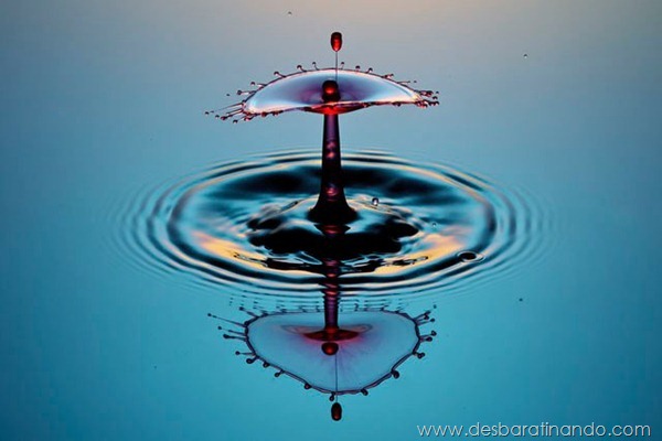 liquid-drop-art-gotas-caindo-foto-velocidade-hora-certa-desbaratinando (98) liquid-drop-art-gotas-caindo-foto-velocidade-hora-certa-desbaratinando (98)