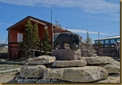 Polar Bear Statue D7K_8236 NIKON D7000 June 19, 2011