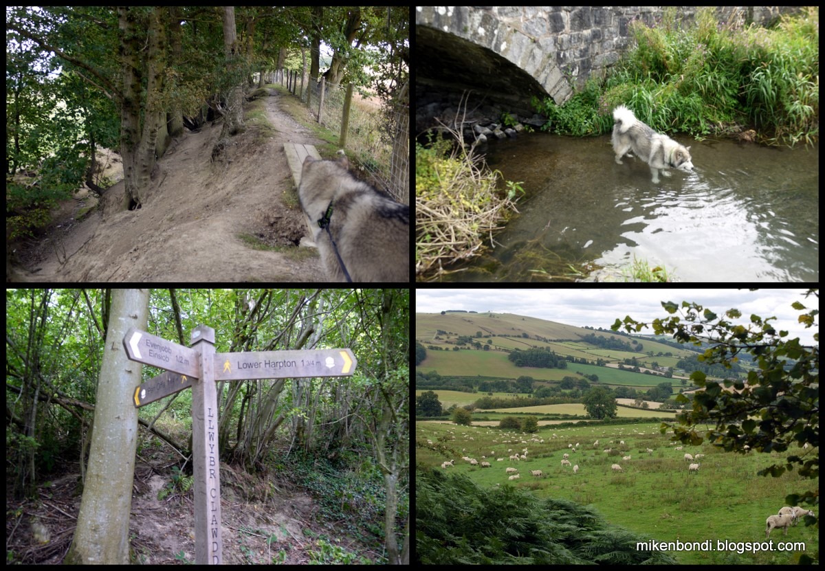 [Dyke%252C%2520swim%252C%2520signs%252C%2520sheep%255B4%255D.jpg]