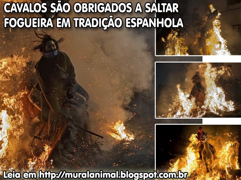 [cavalos-fogueira%255B3%255D.jpg]