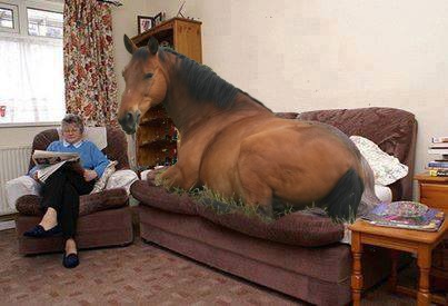 [Dango-Sofa%255B3%255D.jpg]