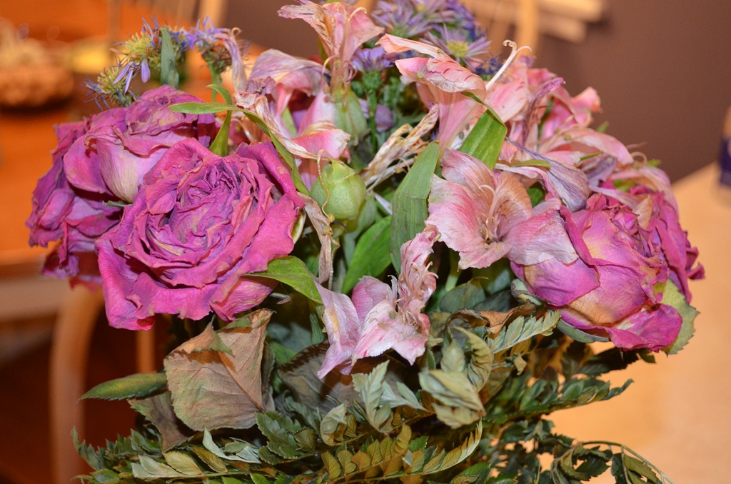 [DSC_0040%255B24%255D.jpg]