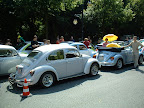 Einer unserer Beetles in der Startaufstellung...