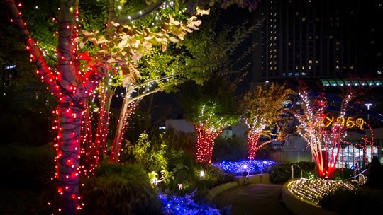20141121-DSC05248 20141121-DSC05248
