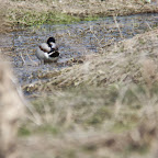 IMG_0967.JPG