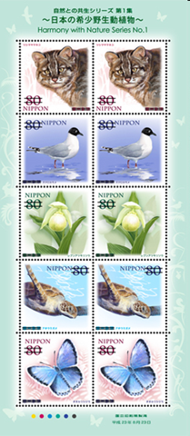 [image%255B6%255D.png]