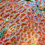 Watersports Guru Cook Island