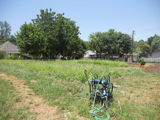 Part of the large back garden at Urban Roots Farm.
(Photo credit: Samuel Crowe)