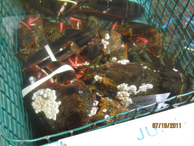 [IMG_0047%255B4%255D.jpg]