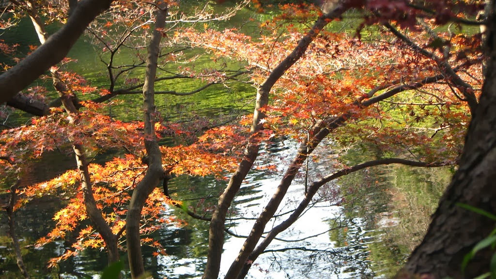 [IMG_4128%255B3%255D.jpg]