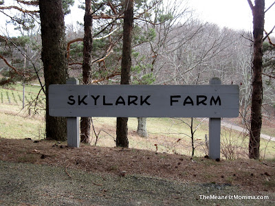 Skylark Christmas Tree Farm