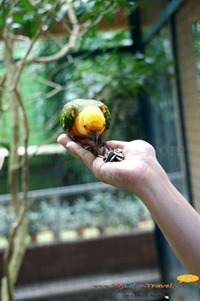 Langkawi Wildlife Park Langkawi Wildlife Park