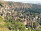 Canyon Rose