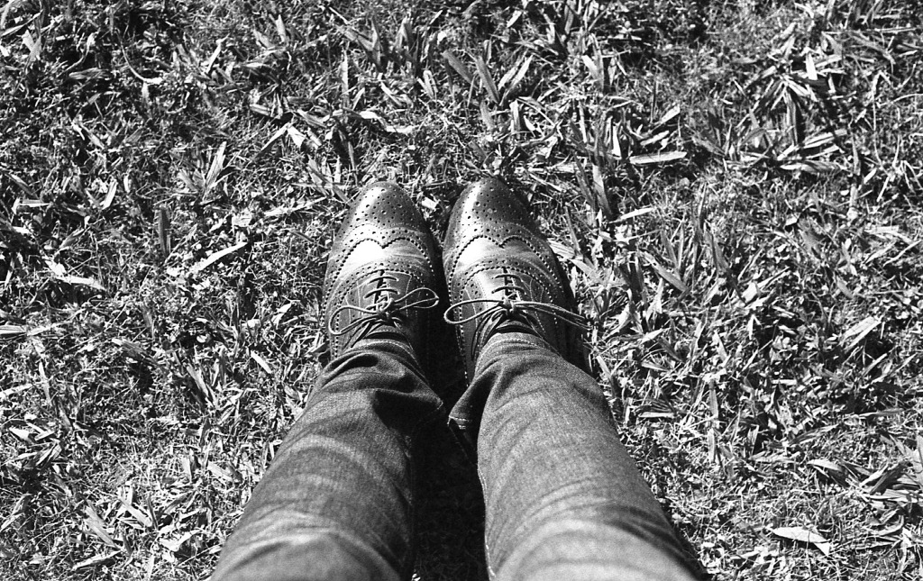 [img250%255B2%255D.jpg]