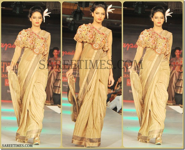 Tan_Designer_Saree