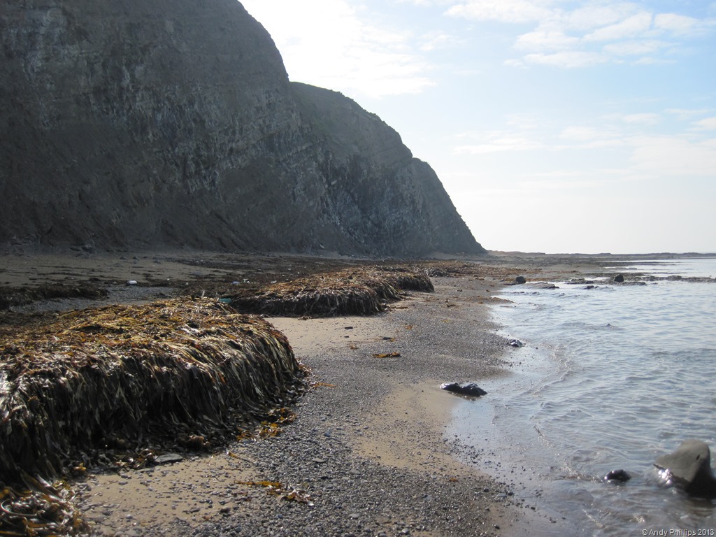 [IMG_1422%255B10%255D.jpg]