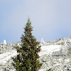 DSCN2934.jpg