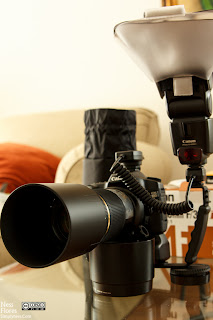 Tamron180mmf35-2789