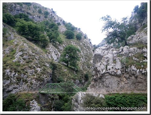 Poncebos-Canal de Trea-Jultayu 1940m-Lagos de Covadonga (Picos de Europa) 5097 Poncebos-Canal de Trea-Jultayu 1940m-Lagos de Covadonga (Picos de Europa) 5097