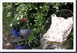 IMG_5040