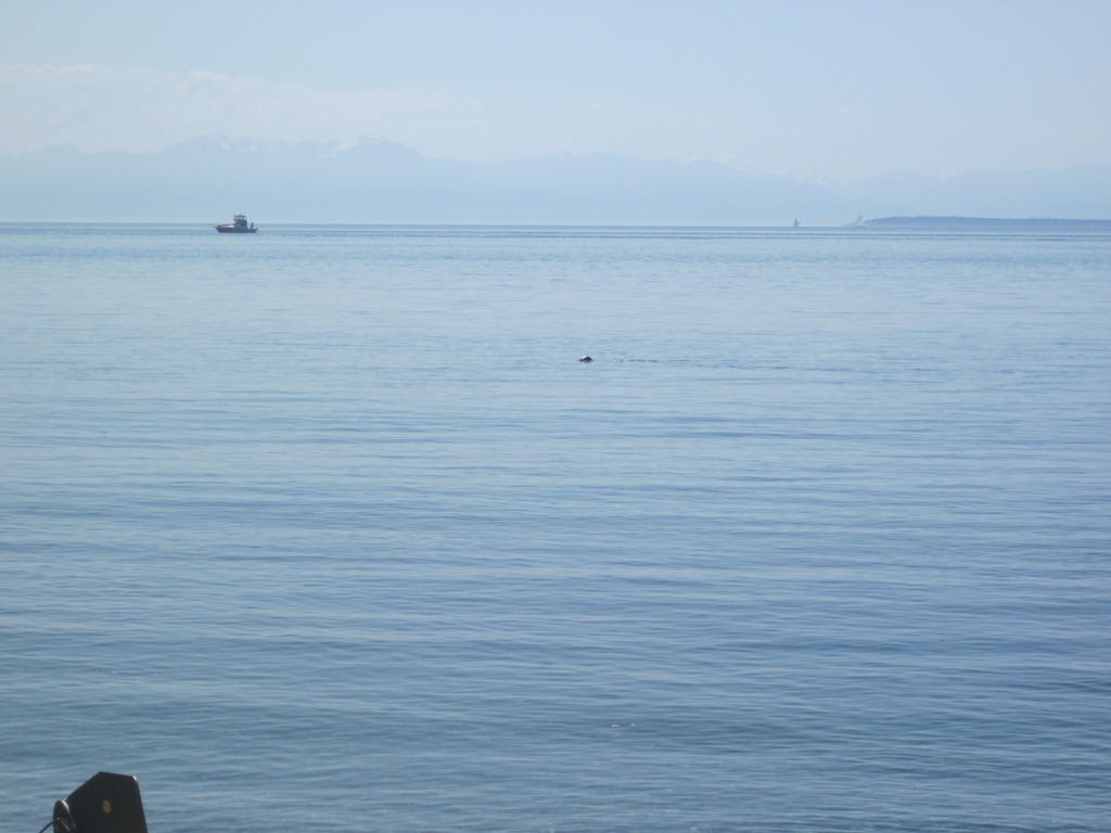 [IMG_0970%255B4%255D.jpg]