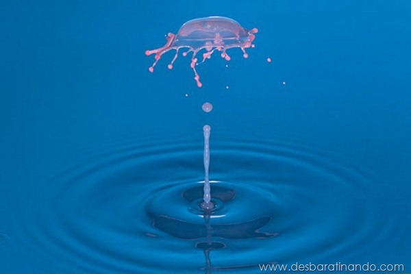 liquid-drop-art-gotas-caindo-foto-velocidade-hora-certa-desbaratinando (113) liquid-drop-art-gotas-caindo-foto-velocidade-hora-certa-desbaratinando (113)