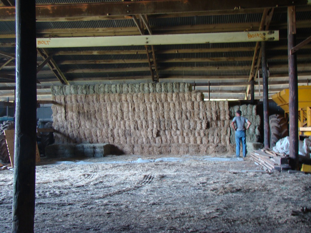 [DSC09708%255B8%255D.jpg]