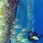Pillar of the pier @ Windsock