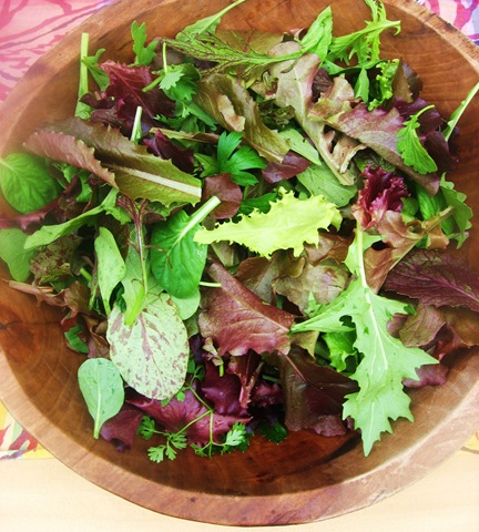 [skyfarmtasting12.jpg]