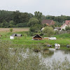 dsc01249.jpg