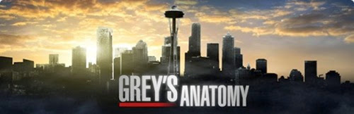 Greys-Anatomy banner