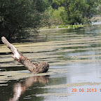 DSCN8310.JPG