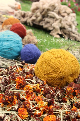 [YarnVertical23.jpg]