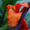 DSC_0587.JPG