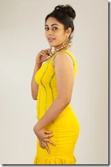 Telugu Actress Lakshmi Menon Photo Shoot Stills