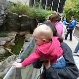 P1010346.JPG