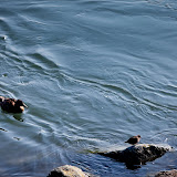 IMG_8173.jpg