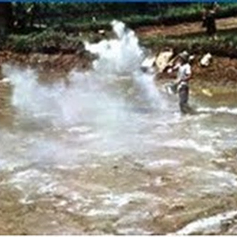 Những lưu ý khi sử dụng vôi trong nuôi trồng thủy sản